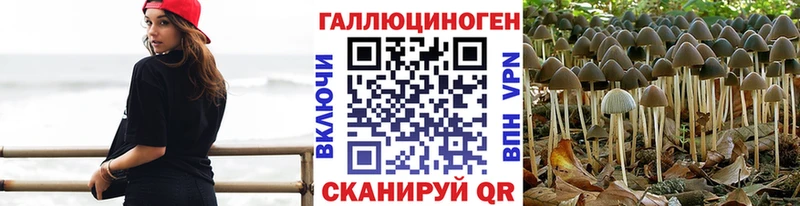 Галлюциногенные грибы MAGIC MUSHROOMS Саянск